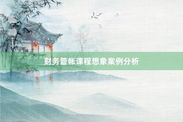 财务管帐课程想象案例分析