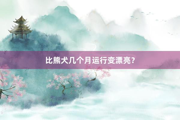 比熊犬几个月运行变漂亮？