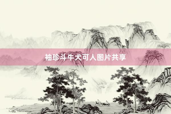 袖珍斗牛犬可人图片共享