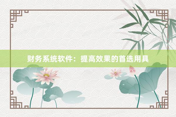 财务系统软件：提高效果的首选用具