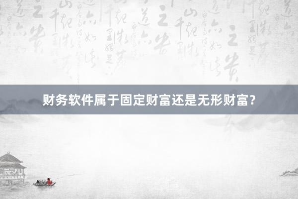 财务软件属于固定财富还是无形财富？